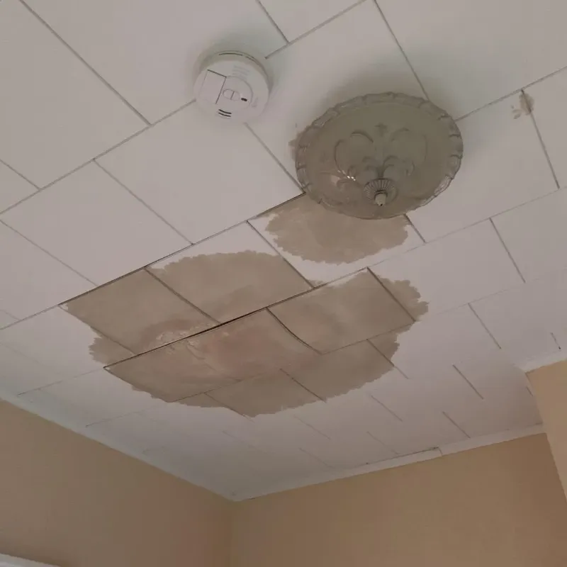 Ceiling Water Damage Repair in Gales Ferry, CT