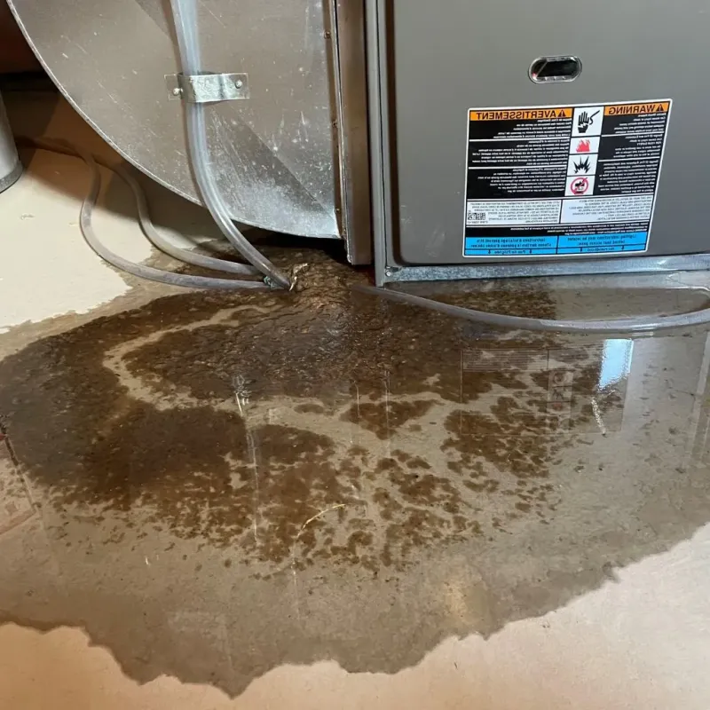 Pipe Burst and Leak Restoration in Gales Ferry, CT