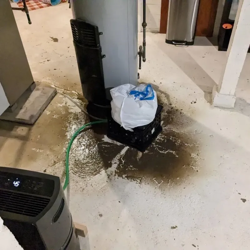 Sewage Backup Cleanup Service in Gales Ferry, CT